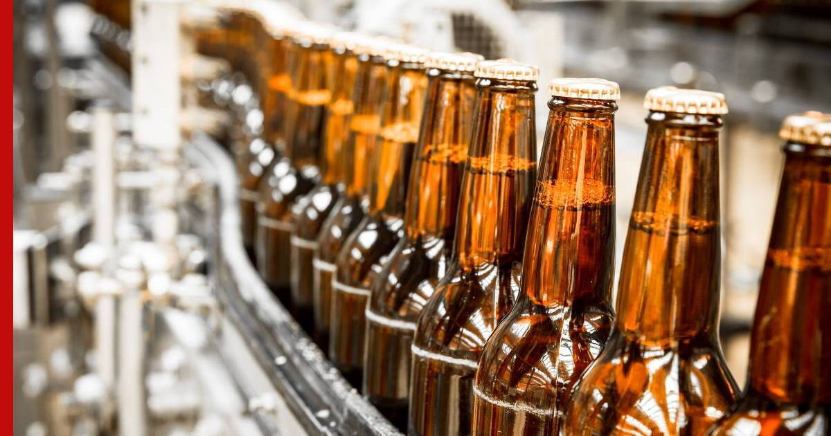 Минпромторг и пивоваренная отрасль договорились начать маркировку пива с 1 апреля 2023 года